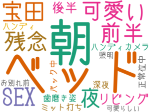 ベッド, 朝, 可愛い, 前半, 宝田, 残念, SEX, 夜, リビング, 後半, ハンディカメラ, ミット打ち, 歯磨き姿, ハンディ, バック中, 深夜, 正常位中, お別れ前, 照明, 可愛らしい