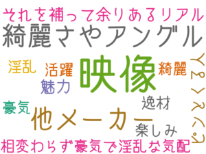 映像, 綺麗さやアングル, 他メーカー, それを補って余りあるリアル, 魅力, ピンとくる人, 相変わらず豪気で淫乱な気配, 逸材, 活躍, 楽しみ, 綺麗, 豪気, 淫乱