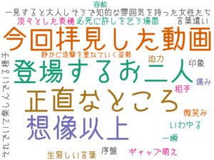 今回拝見した動画, 正直なところ, 想像以上, 登場するお二人, 一見すると大人しそうで知的な雰囲気を持った女性たち, 印象, 序盤, 一瞬, 淡々とした表情, いわゆる ギャップ萌え, 生易しい言葉, 迫力, 言葉遣い, それでいて楽しんでいる様子, 相手, 痛み, 必死に許しを乞う場面, 微笑み, 静かに追撃を重ねていく姿勢, 容赦